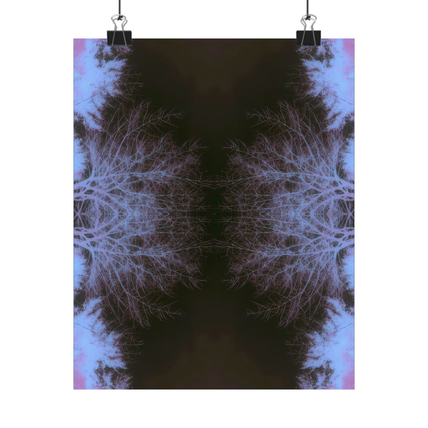 Branches in Twilight