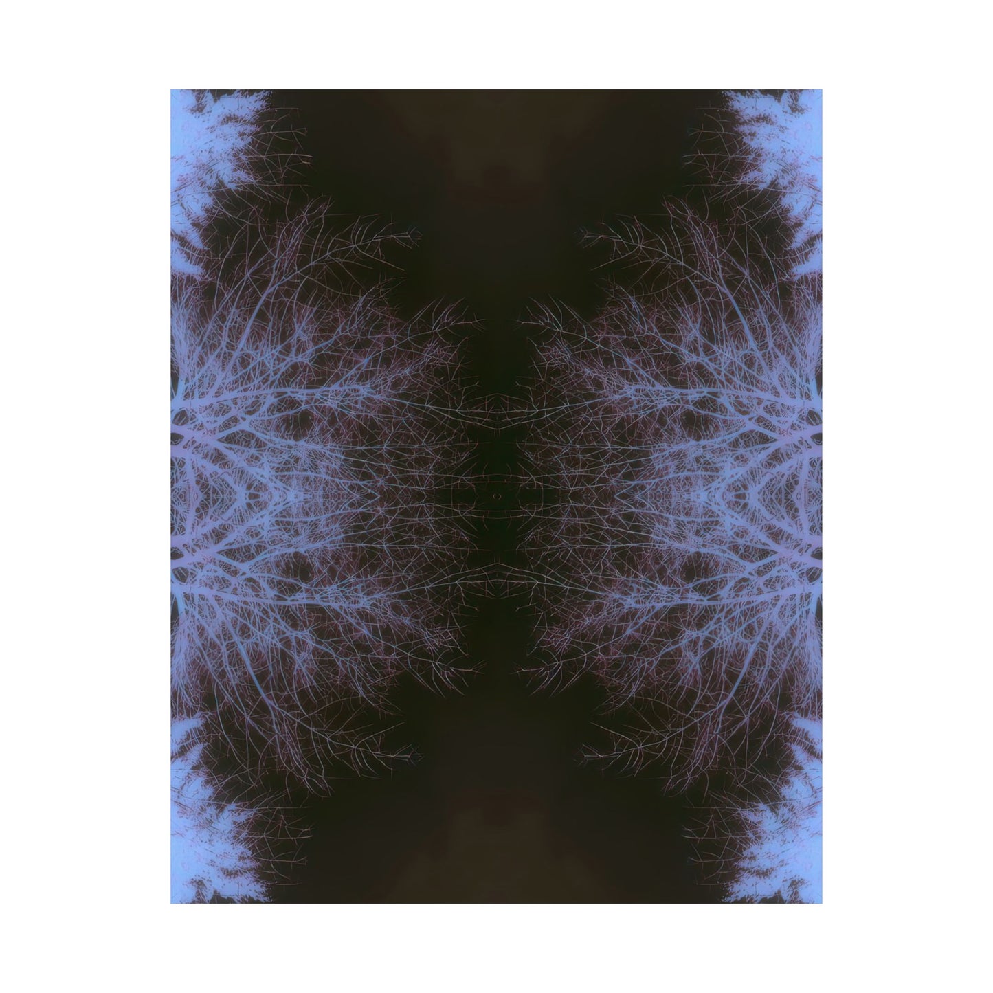 Branches in Twilight