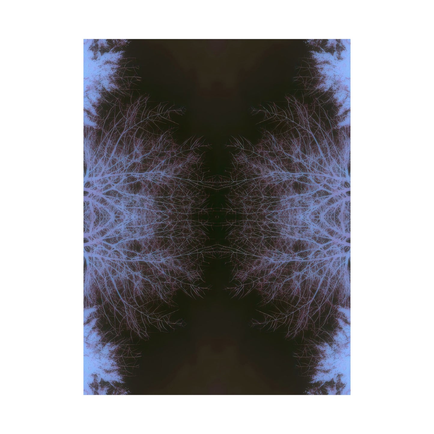 Branches in Twilight