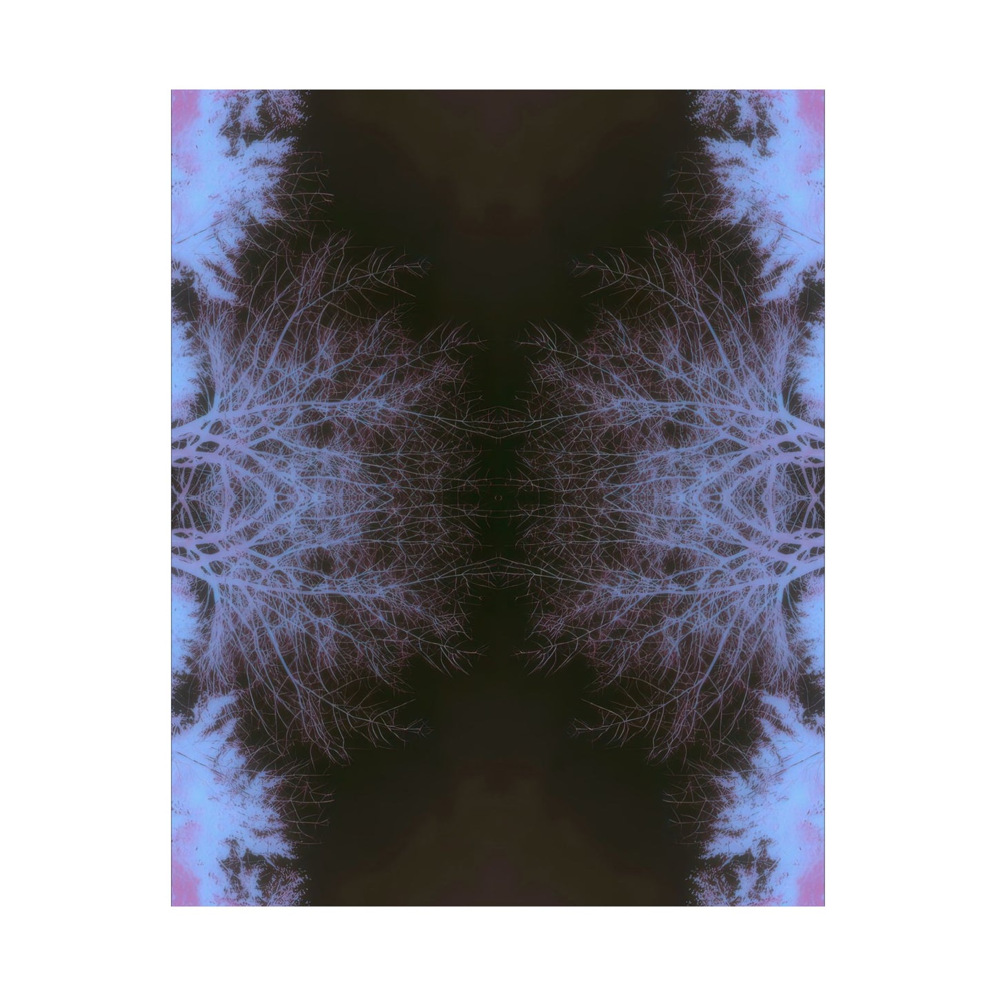 Branches in Twilight