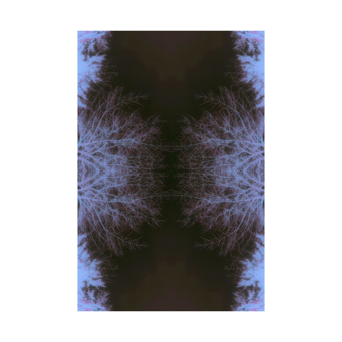 Branches in Twilight