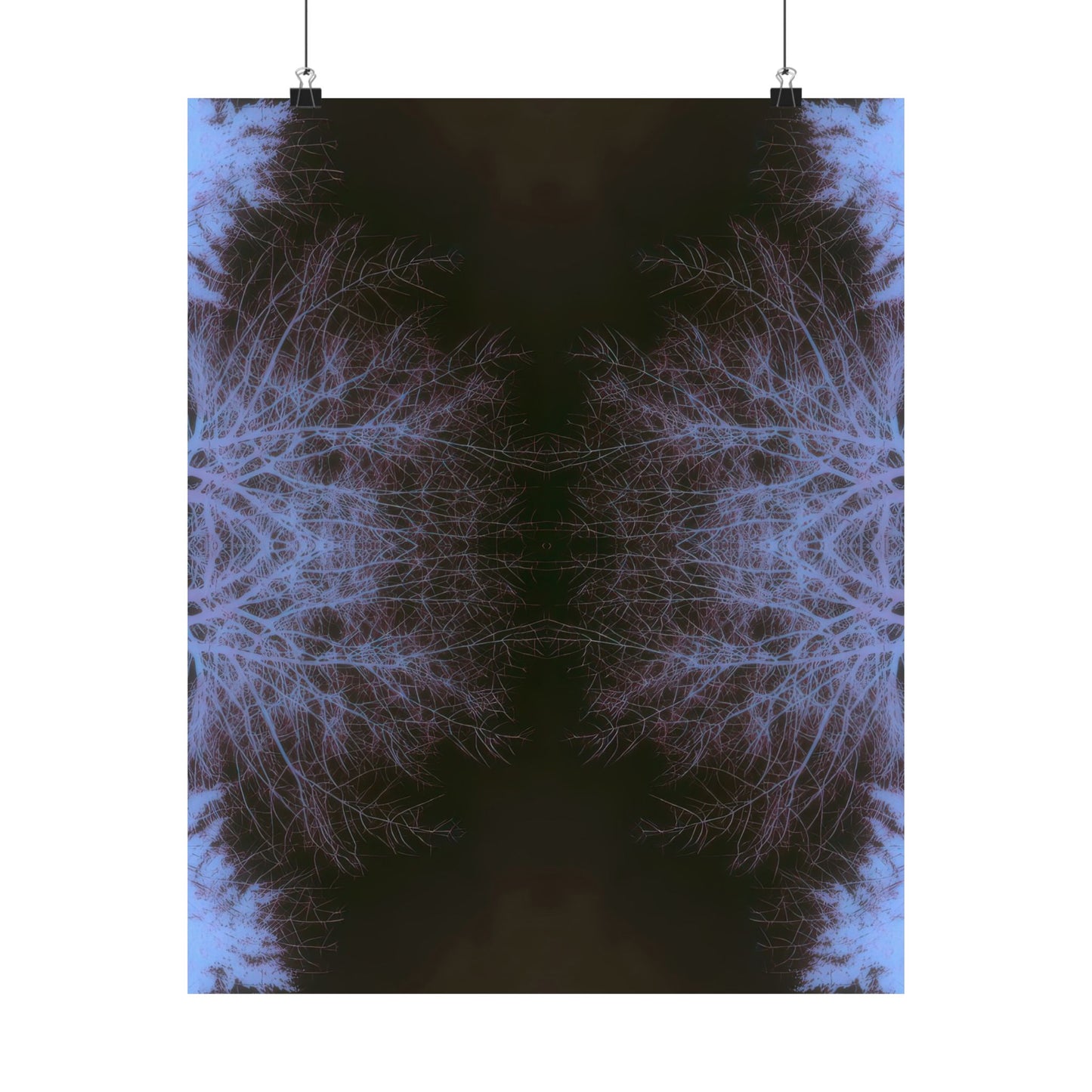 Branches in Twilight